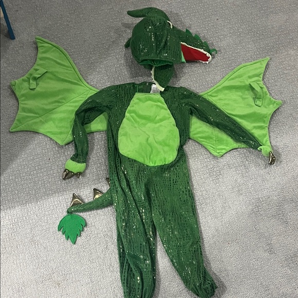 Pottery Barn Green Dragon Kids Costume - Picture 1 of 7